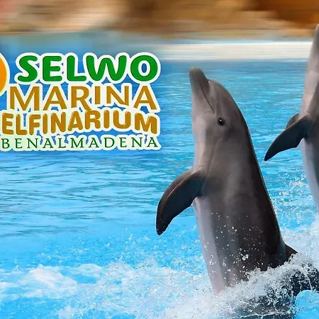 Acuario