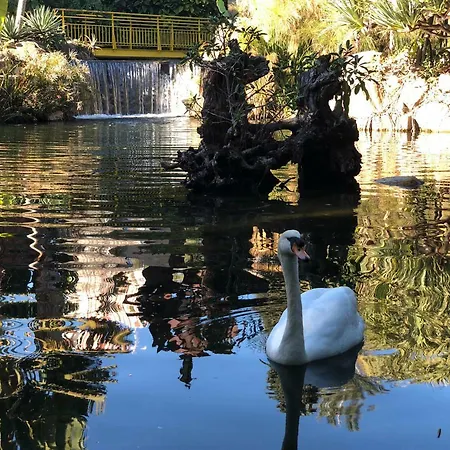 Acuario